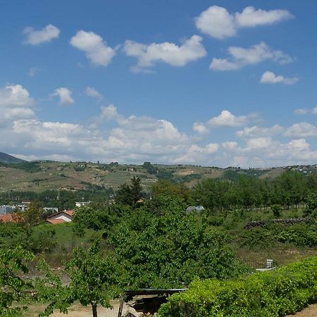 Saint-Clair-du-Rhone 格鲁耶之家旅馆酒店 外观 照片